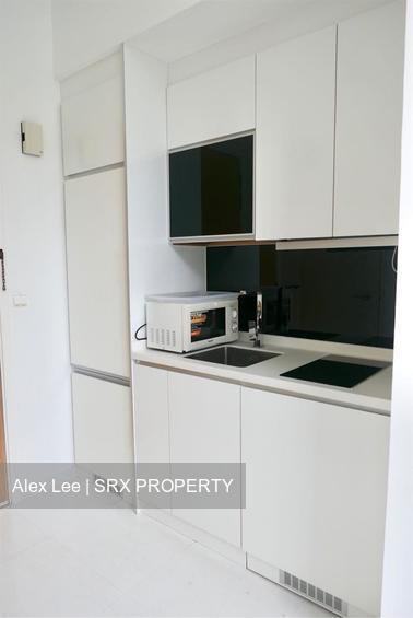 Loft @ Holland (D10), Apartment #181387112